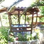Elytis بوتيستيكا