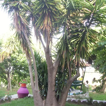 Elytis Hotel Potistika